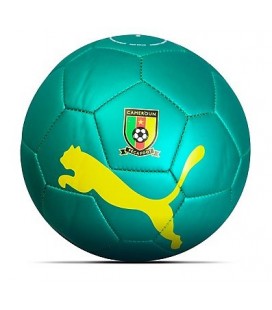 Futbalová lopta Puma Kamerun 2
