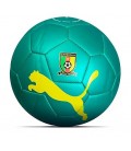 Futbalová lopta Puma Kamerun 2