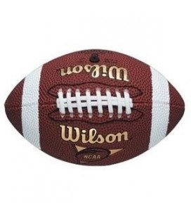 NFL lopta Wilson Micro Ball