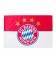 Vlajka Bayern Mníchov - veľká